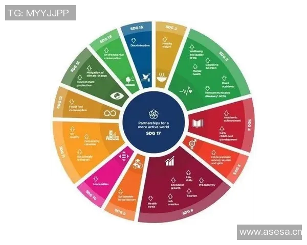 体育组织在全球化背景下的转型与创新发展路径研究