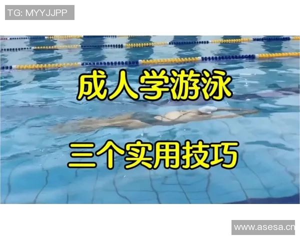 游泳动作解析与技巧提升：从蛙泳到蝶泳的全面技巧与训练方法